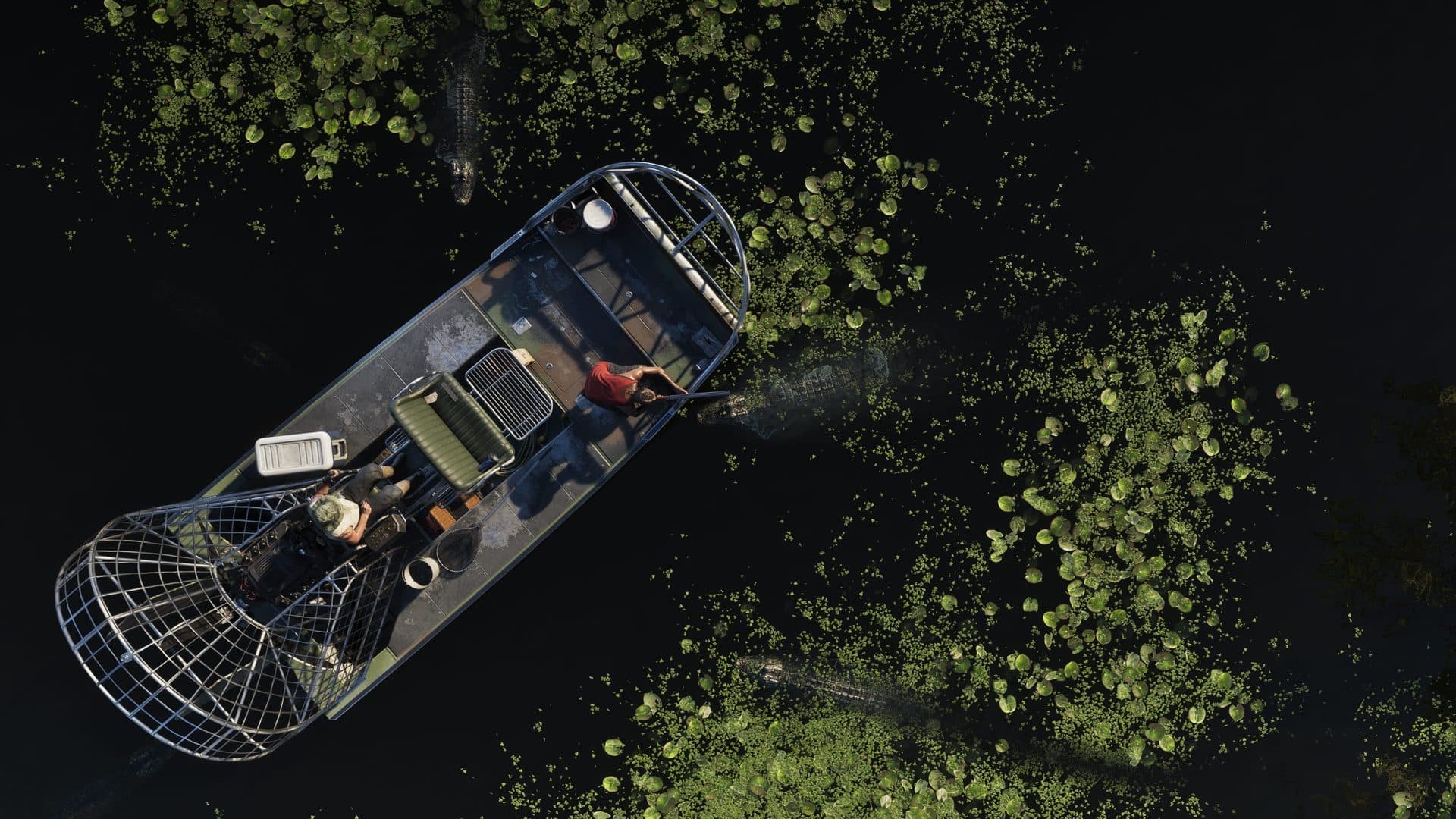An airboat from directly overhead, deep in the sawgrass