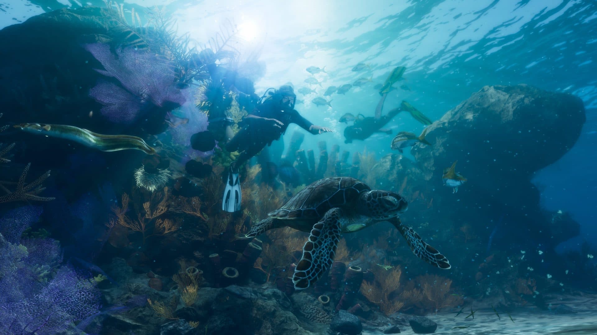 A reef, a turtle and a diver. Scuba is in the game