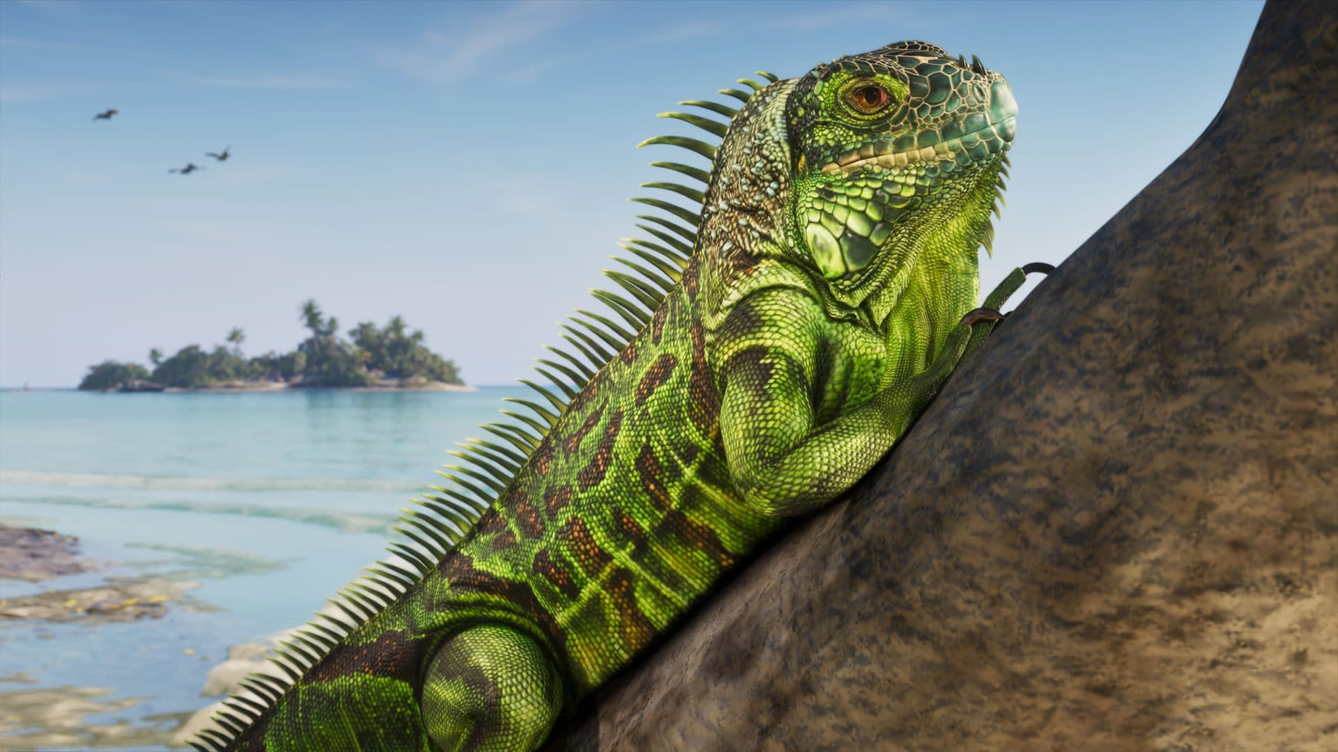 An iguana the size of a dog, which is simply what Florida is